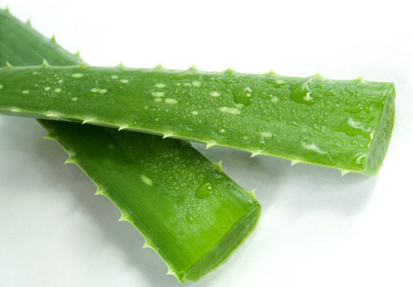 Cos'è l'aloe? Benefici sorprendenti e usi pratici 3 benefici