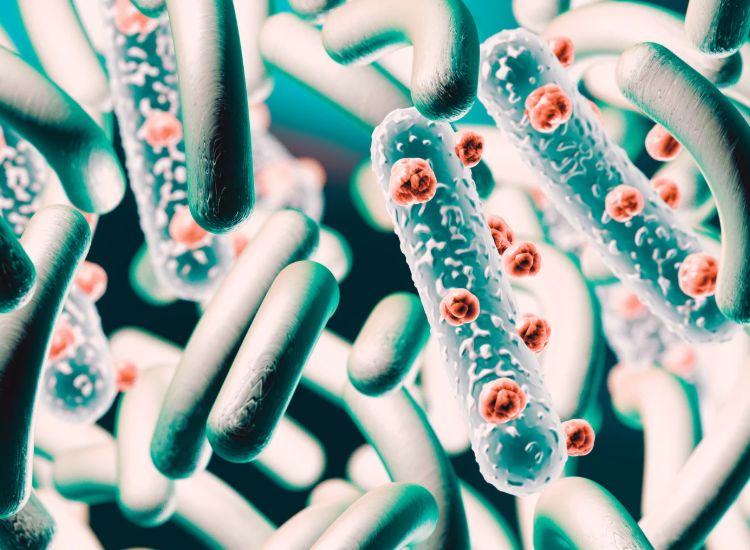 Rappresentazione 3D di batteri e microrganismi intestinali, con forme cilindriche e dettagli microscopici su sfondo verde, concetto di microbiota e salute digestiva. Microbiota