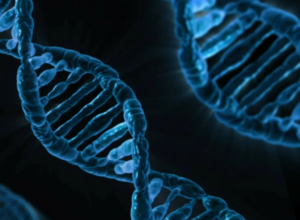 Nutraceutica. Filamenti di DNA umano in grafica digitale blu che rappresentano genetica, ricerca scientifica e biotecnologia.